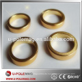 Ringmagnete diametrale Hersteller China